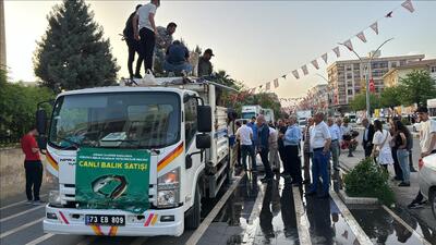 Üniversitemizin projesi kapsamında 25,5 ton balık üretildi 